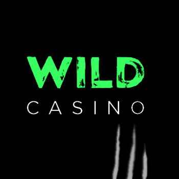 Wild Joker Gambling Establishment Review: Our Judgment